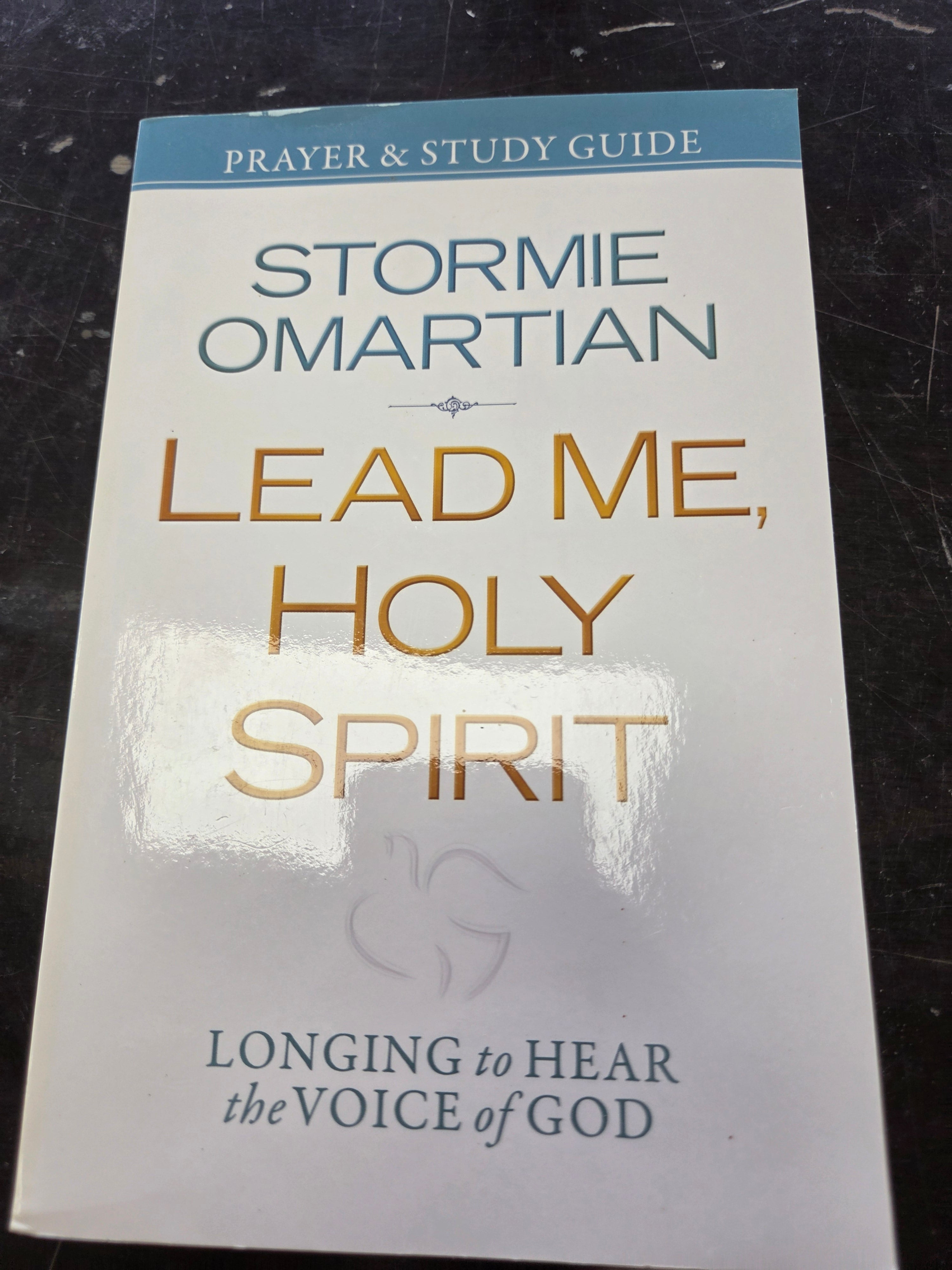 Lead Me, Holy Spirit: Longing to Hear the Voice of God by Stormie Omartian (Used)