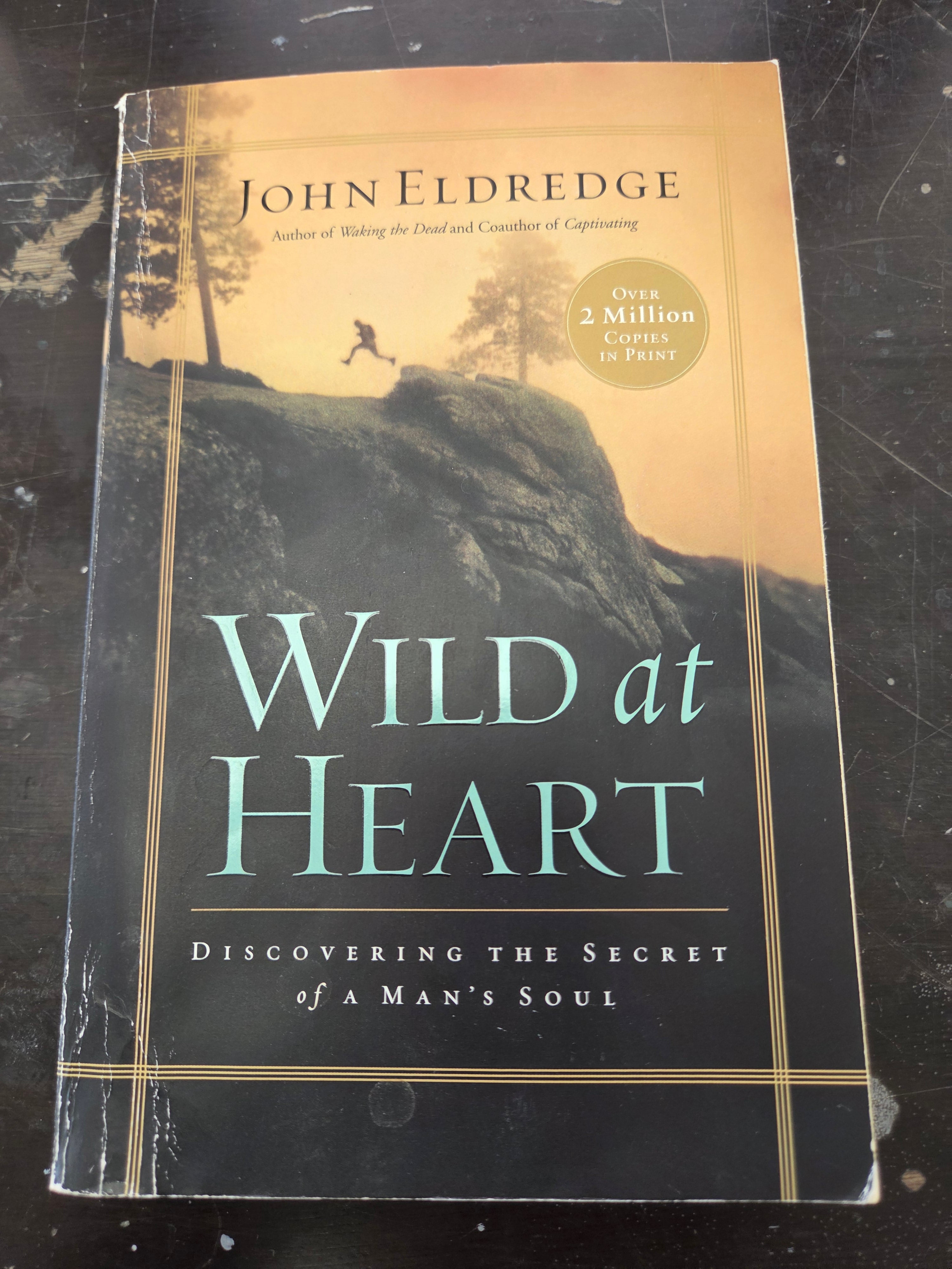 Wild at Heart by John Eldredge (Used)